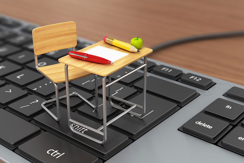 wordpress website designer